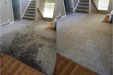 Carpet Cleaning New Jersey Steam Cleaner Clean Carpet